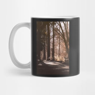 Sit and Dream on a Path in the Woods Mug